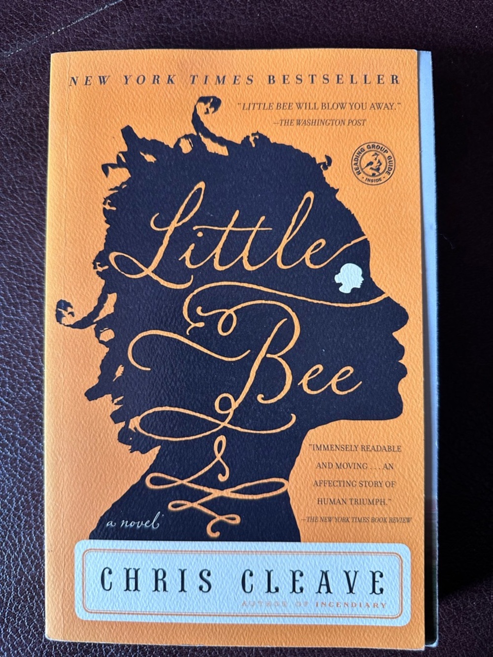 Little Bee (Chris Cleave)